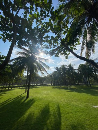 The Westin Sanya Haitang Bay Resort — фото погоды в ноябре (2025-11-08)