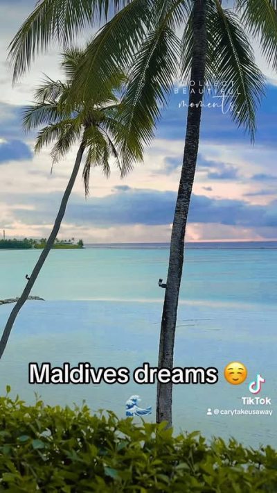 Hard Rock Hotel Maldives — фото погоды в декабре (2025-12-12)