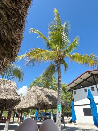 Pipa's Beach Panamá в декабре — фото погоды (2025-12-07)