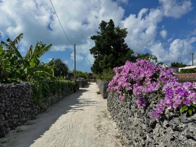 Taketomi Island в ноябре — фото погоды (2025-11-28)