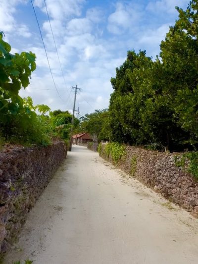 Taketomi Island в феврале — фото погоды (2026-02-13)