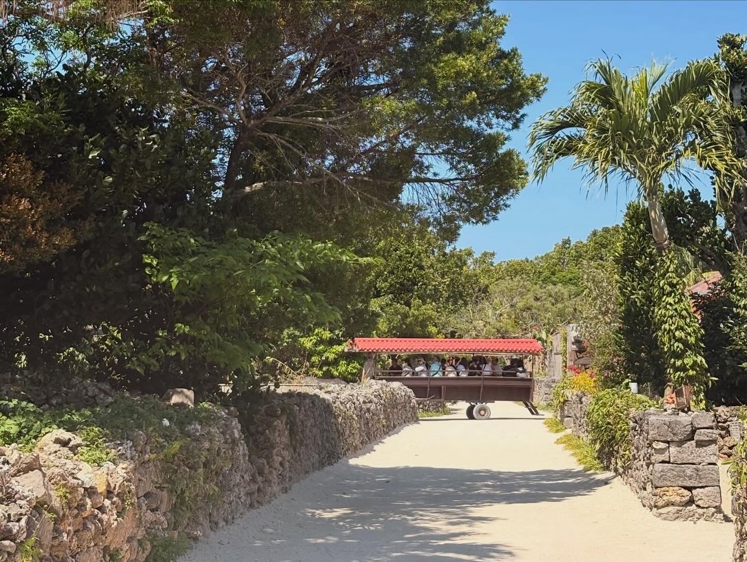 Погода в Taketomi Island