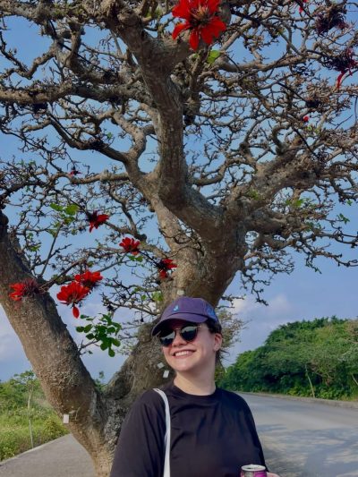 Taketomi Island в мае — фото погоды (2026-05-03)
