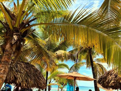 Guavaberry Beach Club в июне — фото погоды (2025-06-29)