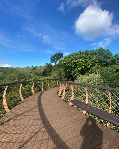 Canopy Walk Boomslang Kirstenbosch Gardens в июне — фото погоды (2025-06-09)