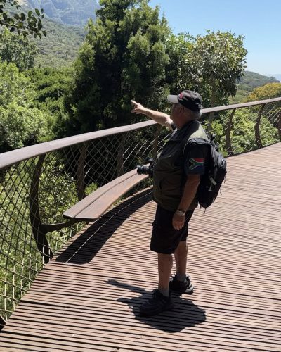 Canopy Walk Boomslang Kirstenbosch Gardens в ноябре — фото погоды (2025-11-25)
