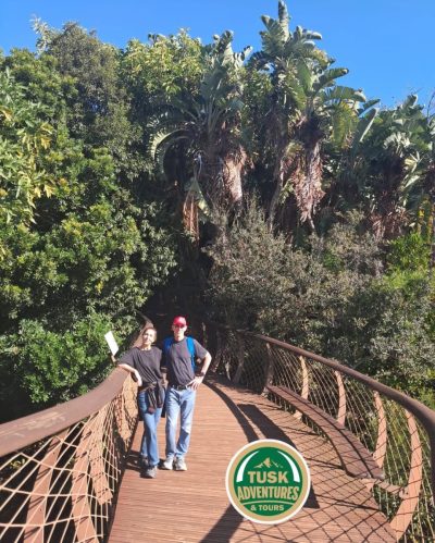 Canopy Walk Boomslang Kirstenbosch Gardens в июне — фото погоды (2026-06-02)