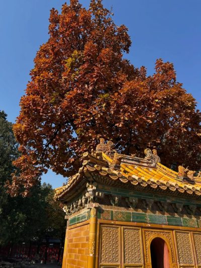Ming tombs в ноябре — фото погоды (2025-11-09)