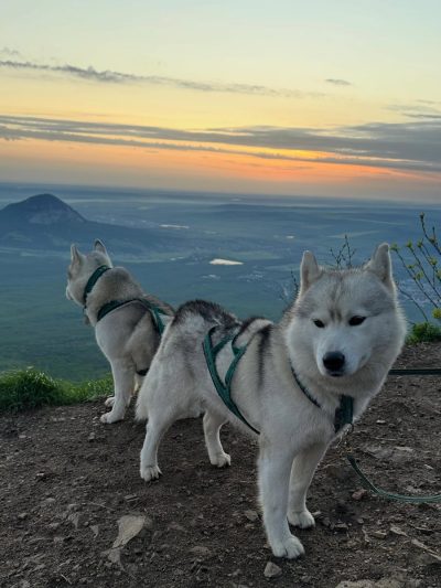 Гора Бештау /  Beshtau mountian в мае — фото погоды (2026-05-29)