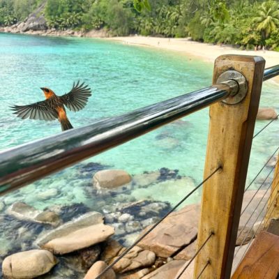 Anse Soleil Beachcomber Hotel — фото погоды в марте (2026-03-07)