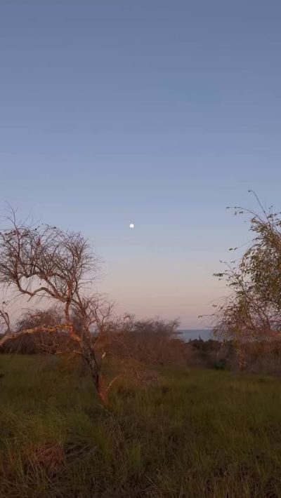 Moreré, Ilha De Boipeba в июне — фото погоды (2026-06-15)