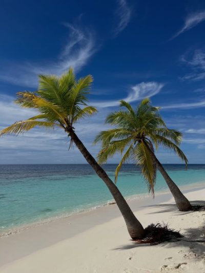 Diamonds Athuruga Beach and Water Villas в декабре — фото погоды (2025-12-08)