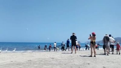 Playa Salguero, Santa Marta, Colombia в мае — фото погоды (2026-05-19)