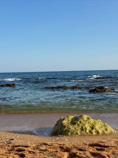 Praia da Coelha в декабре — фото погоды (2025-12-14)