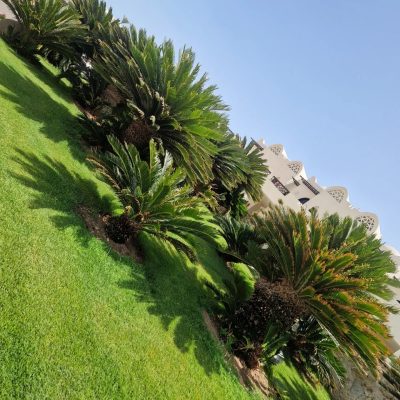 Sentido Reef Oasis Senses Resort Sharm El Sheikh в мае — фото погоды (2026-05-25)