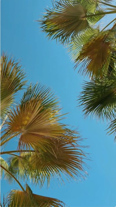 Purobeach Resort Santa Ponsa — фото погоды в декабре (2025-12-17)