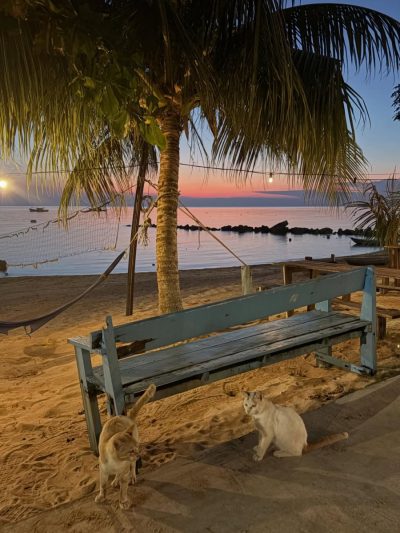 Pulau Tioman в июне — фото погоды (2026-06-15)