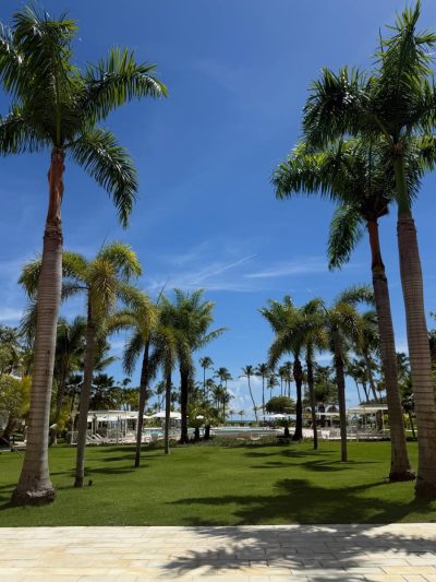 Пунта-Кана в октябре — фото погоды (2025-10-31)