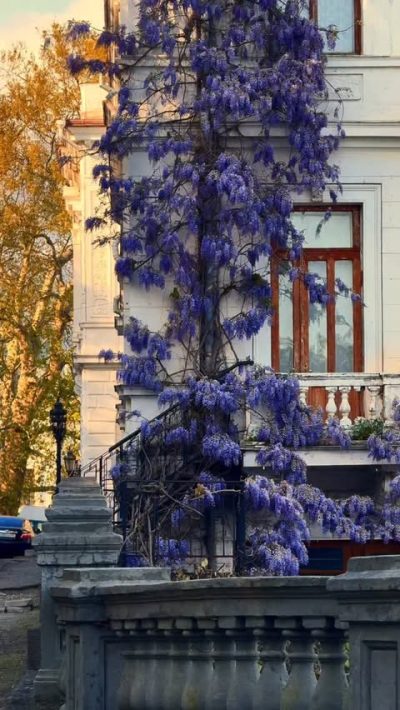 Ялта, Ливадия в апреле — фото погоды (2026-04-30)