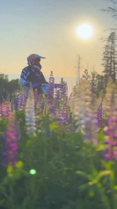 Sakhalin Enduro Park в июне — фото погоды (2025-06-25)