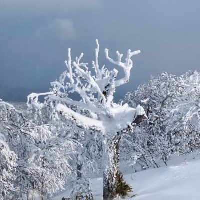 Sakhalin Enduro Park в декабре — фото погоды (2025-12-31)
