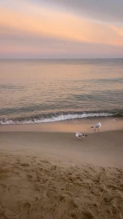 Kranz Beach в октябре — фото погоды (2025-10-08)