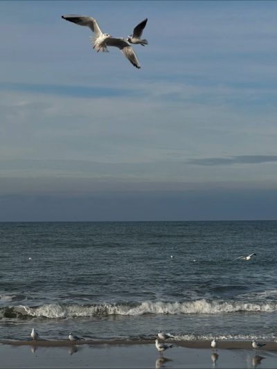 Kranz Beach в ноябре — фото погоды (2025-11-18)