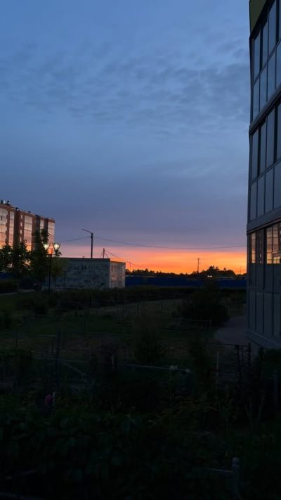 Антропшино в июне — фото погоды (2026-06-11)