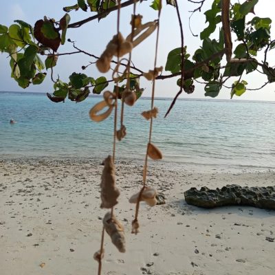 Мальдивы, Dhigurah в марте — фото погоды (2026-03-21)