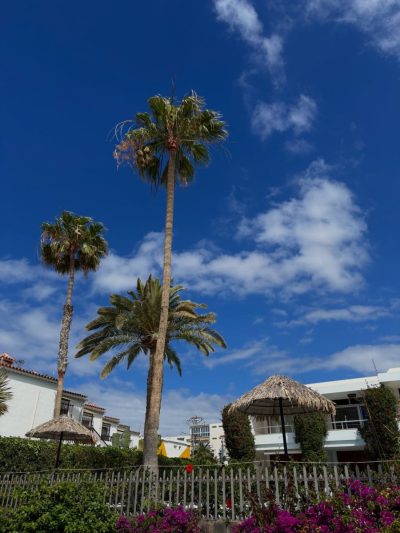 Playa De Maspalomas — фото погоды в мае (2026-05-25)
