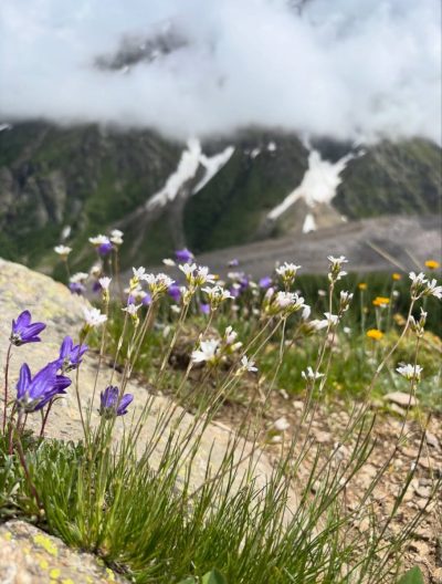 Mount Cheget в июле — фото погоды (2026-07-15)