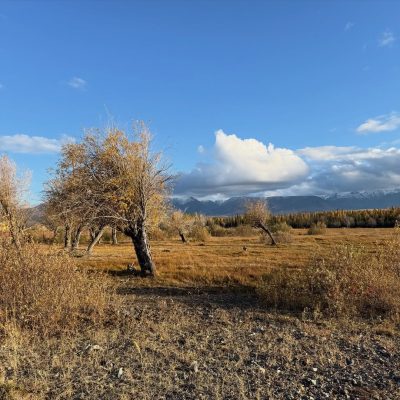 Актру в ноябре — фото погоды (2025-11-19)