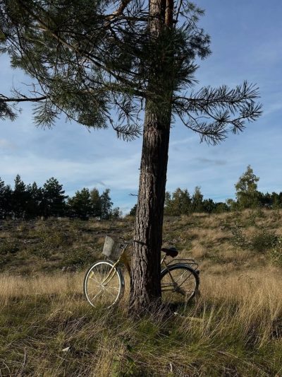 Curonian Spit National Park (Russia) в сентябре — фото погоды (2025-09-28)