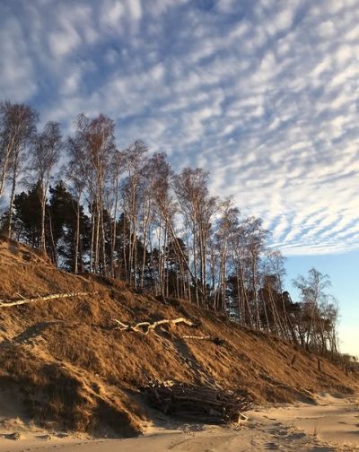 Curonian Spit National Park (Russia) в марте — фото погоды (2026-03-20)