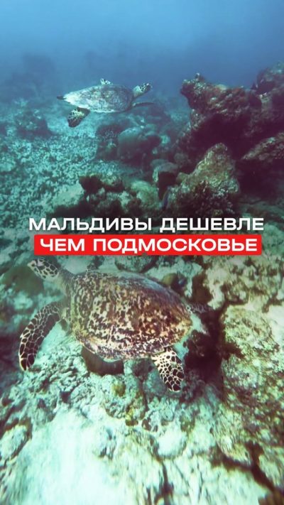 UNESCO Biosphere Reserve - Baa Atoll в декабре — фото погоды (2025-12-30)