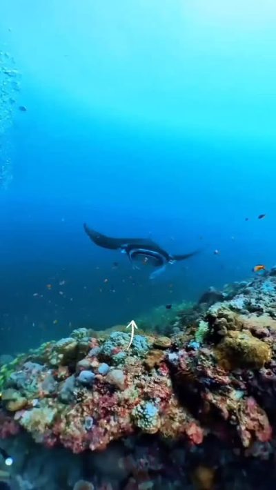 UNESCO Biosphere Reserve - Baa Atoll в июне — фото погоды (2026-06-05)