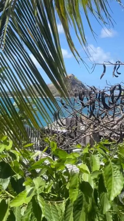 Pigeon Island National Park, St. Lucia, East Caribbean в марте — фото погоды (2026-03-25)