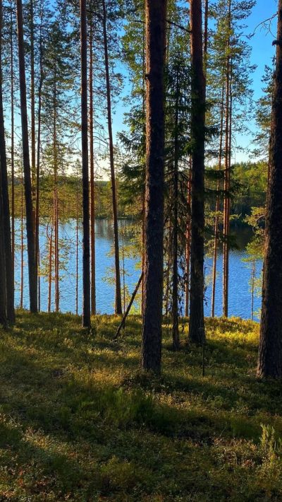 Кааламо в августе — фото погоды (2023-08-21)