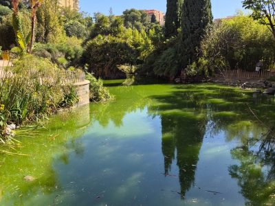 Parque De La Paloma в апреле — фото погоды (2026-04-21)