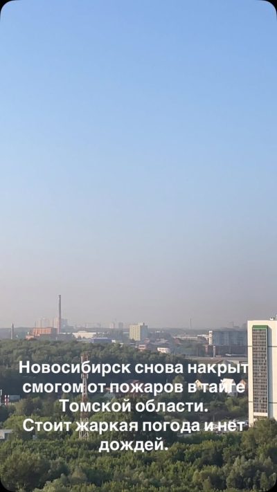 Бугринская Роща в июле — фото погоды (2026-07-15)