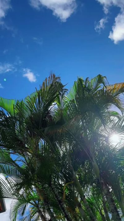 Sandals Barbados в феврале — фото погоды (2026-02-26)