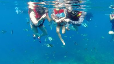 Marine Park Pulau Redang Kuala Trengganu в апреле — фото погоды (2024-04-09)