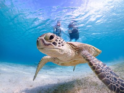 Miyakojima Okinawa Japan в июне — фото погоды (2026-06-11)