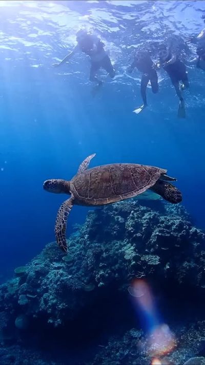 Miyakojima Okinawa Japan в июне — фото погоды (2026-06-15)