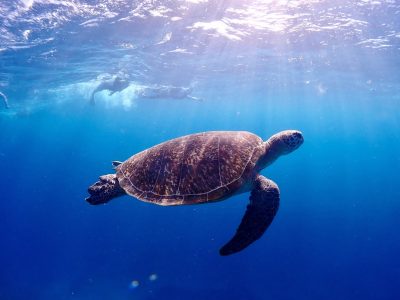 Miyakojima Okinawa Japan в июне — фото погоды (2026-06-27)