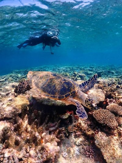 Miyakojima Okinawa Japan в июле — фото погоды (2026-07-12)
