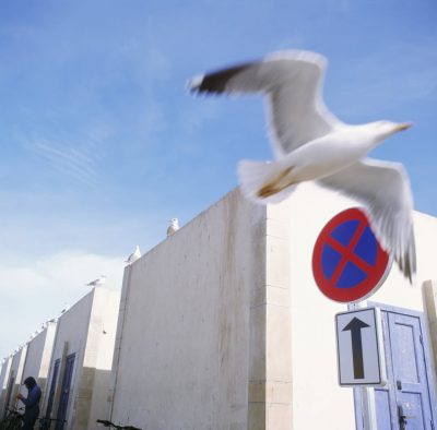 Essaouira, Marroc в июле — фото погоды (2026-07-08)