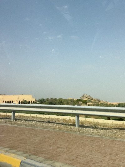 Аль-Айн в июле — фото погоды (2026-07-17)