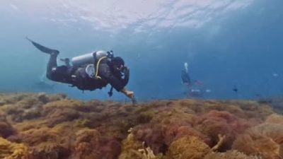 Sorte Met Stella Scuba dive centre, Tioman Island, Malaysia. в сентябре — фото погоды (2025-09-28)