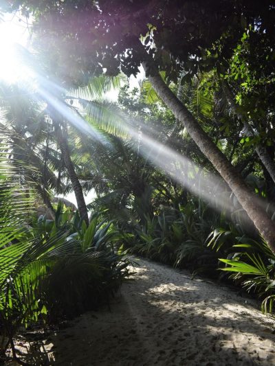 Anse Source D'argent, La Dique, Seychelles в сентябре — фото погоды (2025-09-28)